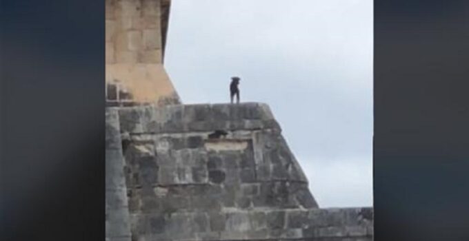 Un perrito se escapa de su dueño y sube en la punta de la pirámide de «Chichén Iztá»