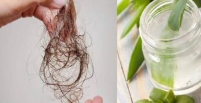 6 remedios caseros para la caída de cabello